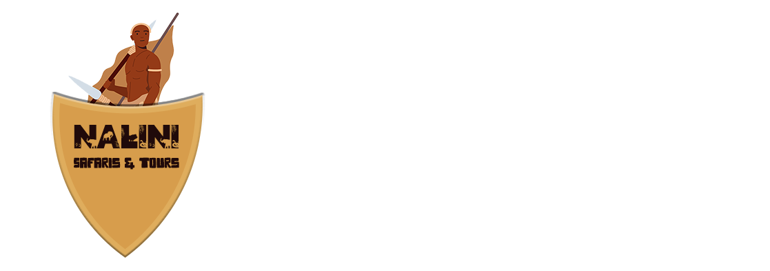 Nalini Safaris and Tours